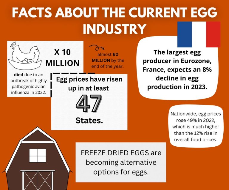 Why are eggs so expensive? Ka Leo O Kalani
